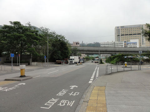 DSC00342s.jpg